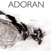 Adoran - Untitled